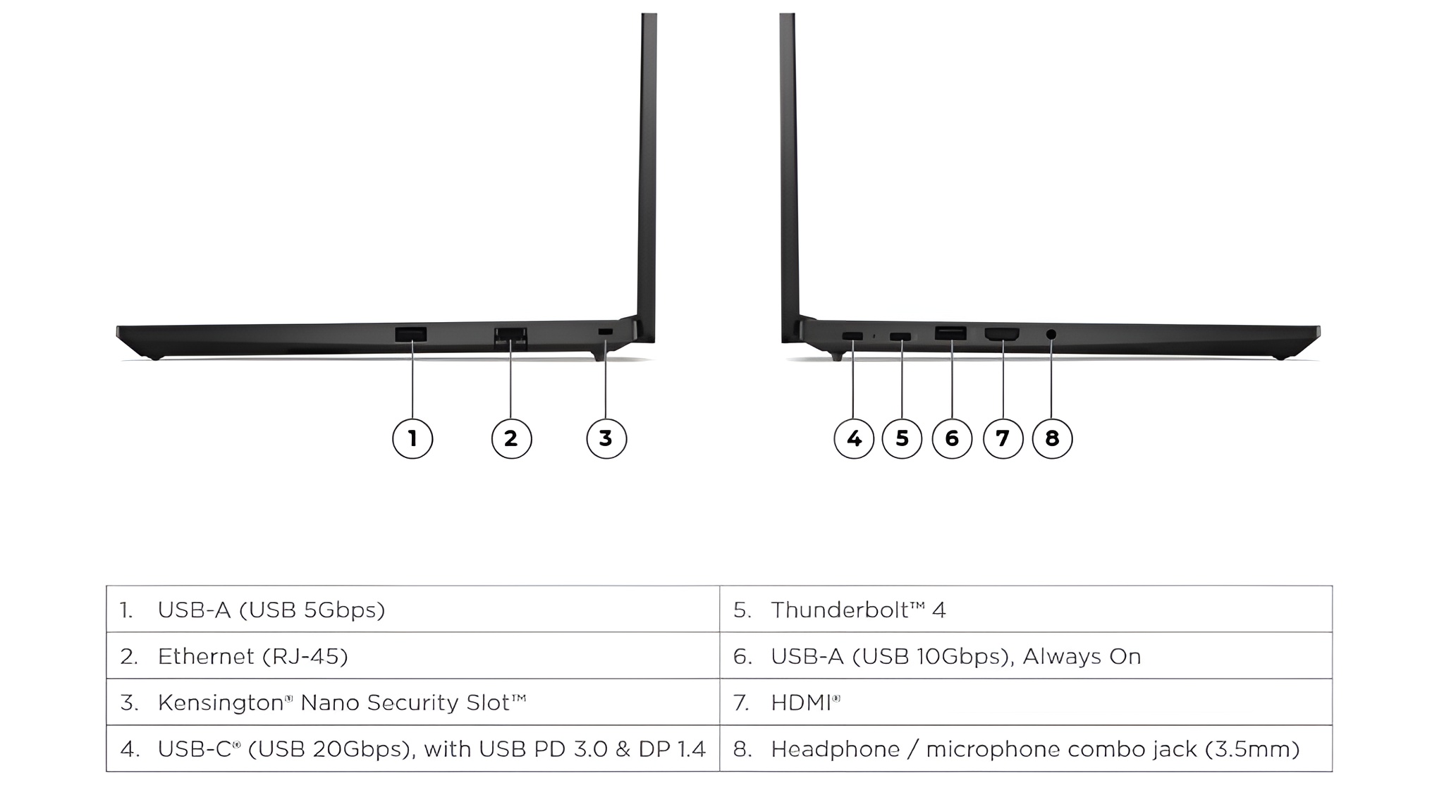 Input Image